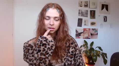 Alaska online show from 12.02.25