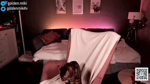 Shy in the streets but a freak in the sheets online show from 02.02.25