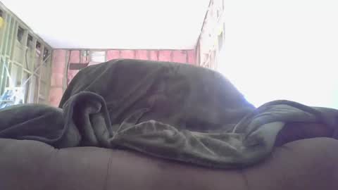 goodcock12345 online show from 12.03.24