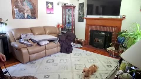 Snapshot of goodgirlcelestecat chatting on 10.03.25 goodgirlcelestecat online show from 10.03.25