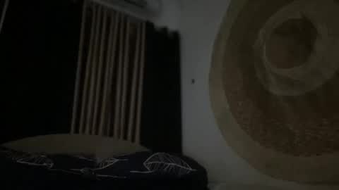 Snapshot of gorgeous_lyn1 chatting on 11.29.25 Lyn online show from 11.29.25