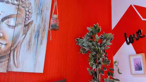 grace online show from 11.16.25