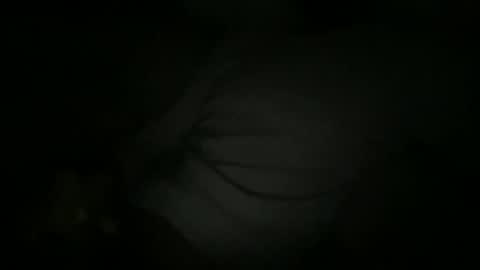 Sonny online show from 02.02.26