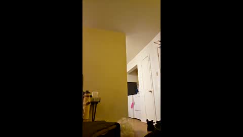 greenvertgo online show from 12.15.25