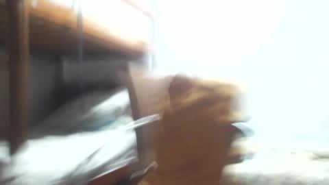 Gregory max online show from 01.03.25