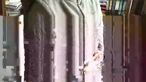 greyhounddog online show from 11.05.25