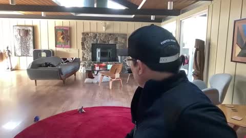 groovycouvie online show from 03.01.25