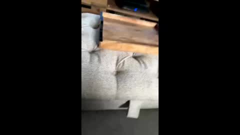 gt79802068 online show from 11.22.25