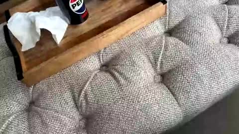 gt79802068 online show from 04.19.26