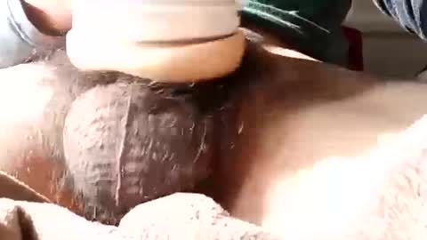 guapopapi88 online show from 01.12.25