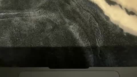 Snapshot of gumbywanna chatting on 11.16.25 gumbywanna online show from 11.16.25