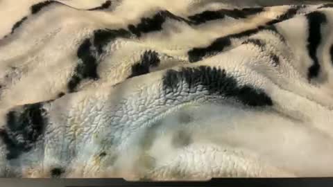 Snapshot of gumbywanna chatting on 11.26.25 gumbywanna online show from 11.26.25