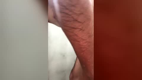 Snapshot of gustavolpz17 chatting on 03.01.26 gustavolpz17 online show from 03.01.26