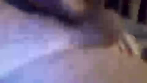 h_rd333 online show from 03.11.25