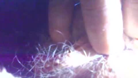 Snapshot of hagridthehorrible chatting on 11.01.25 hagridthehorrible online show from 11.01.25