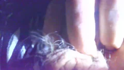 Snapshot of hagridthehorrible chatting on 11.05.25 hagridthehorrible online show from 11.05.25