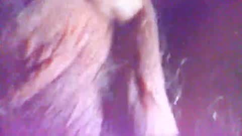 Snapshot of hagridthehorrible chatting on 12.05.25 hagridthehorrible online show from 12.05.25