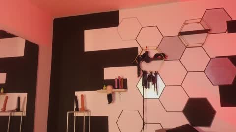 haileycat_ online show from 01.25.25