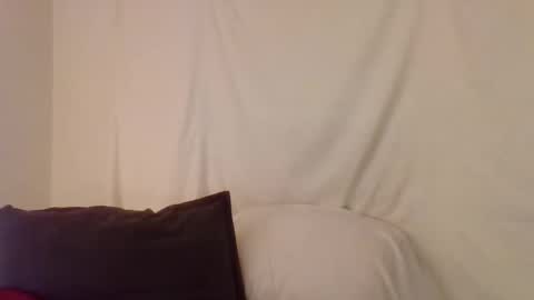 Snapshot of haileys123 chatting on 12.26.24 Hailey online show from 12.26.24