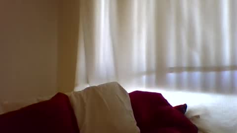 Snapshot of haileys123 chatting on 02.11.25 Hailey online show from 02.11.25