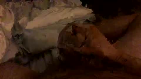 Bruce online show from 02.04.26