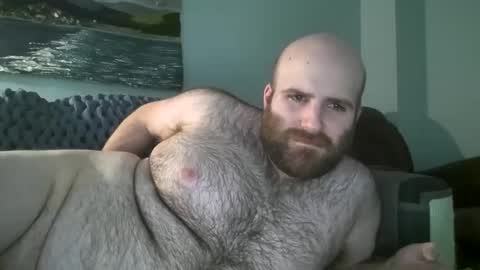 Hairiest Bear online show from 01.14.25