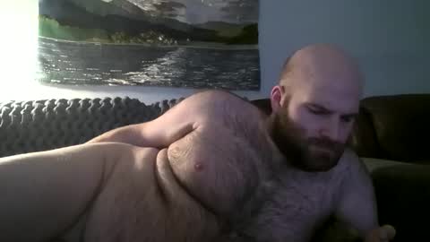 Hairiest Bear online show from 01.15.25