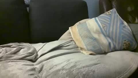 Hairiest Bear online show from 02.18.25