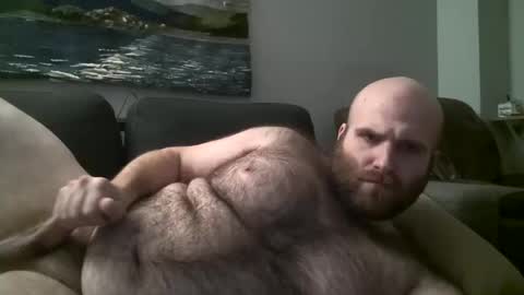 Hairiest Bear online show from 03.09.25