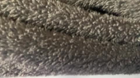 J  M online show from 03.08.25