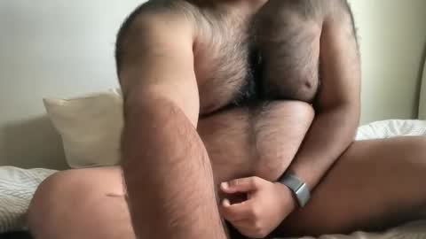 Snapshot of hairyaussie00 chatting on 12.04.24 hairyaussie00 online show from 12.04.24