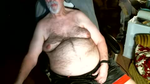 hairybear813 online show from 03.01.26