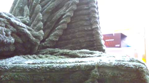 Snapshot of hairyhornytwinkk chatting on 11.14.25 HairyHornyTwinkk online show from 11.14.25