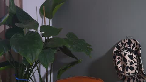 HairyRobXxX online show from 09.20.25