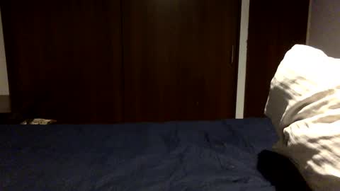 NN420 online show from 10.06.25