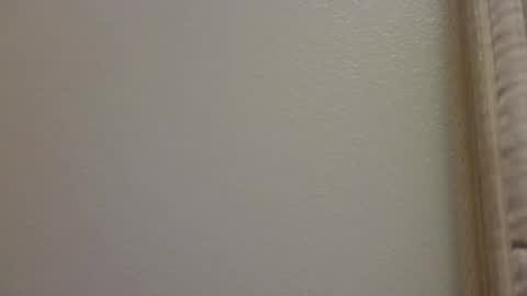 hamhead71 online show from 04.06.26