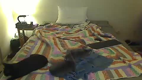 hammerthatthang73 online show from 10.18.25