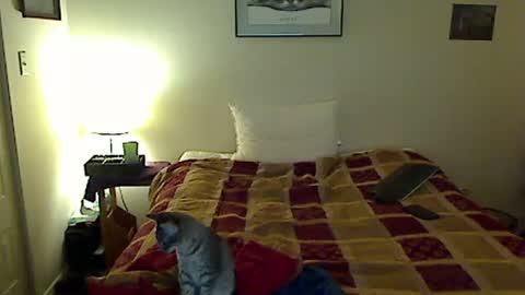 hammerthatthang73 online show from 11.04.25