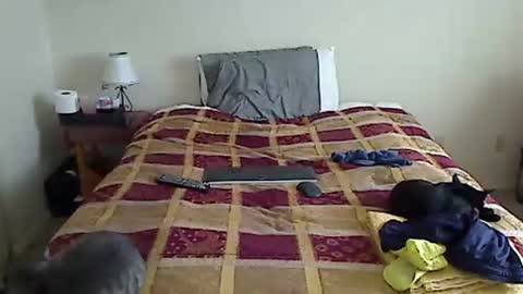 hammerthatthang73 online show from 03.17.26