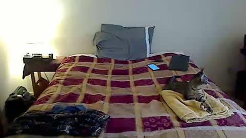 hammerthatthang73 online show from 03.23.26