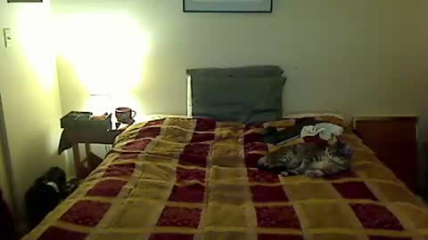 hammerthatthang73 online show from 04.04.26