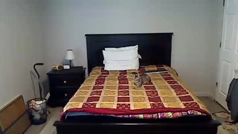 hammerthatthang73 online show from 04.15.26