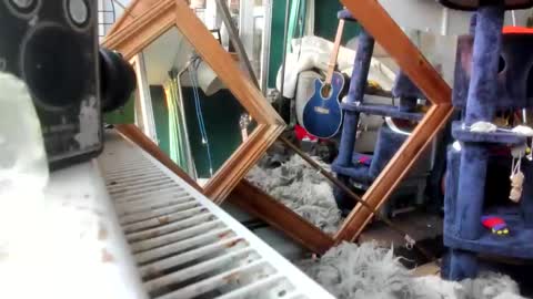 handncocknocum online show from 02.28.25