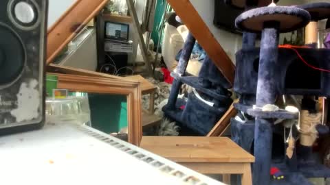 handncocknocum online show from 03.09.25