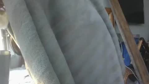 handncocknocum online show from 01.16.26