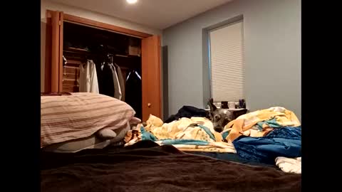 handsomedaddy198923 online show from 10.20.25