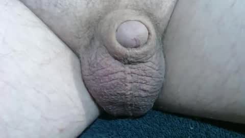 Handyman online show from 12.14.25