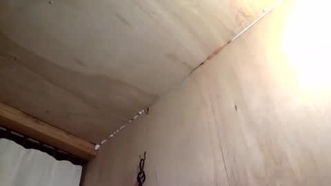 handywoody online show from 02.01.26