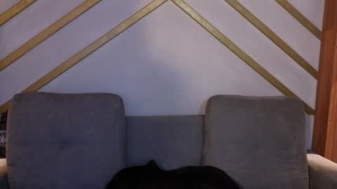 ANA online show from 11.22.25