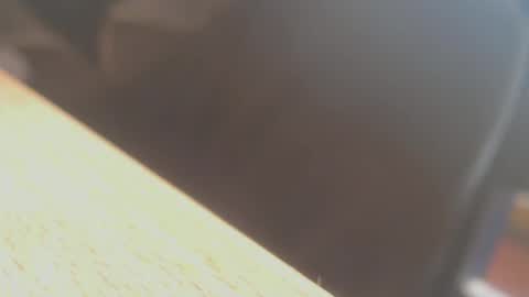 hannes_k online show from 06.14.26